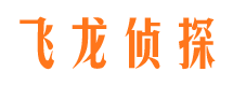 平果市侦探公司